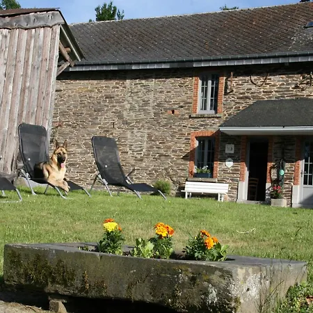 Vintage With Garden, Roofed Terrace * Gouvy