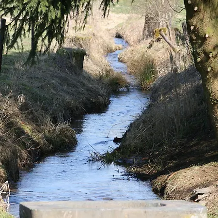 Vintage With Garden, Roofed Terrace *